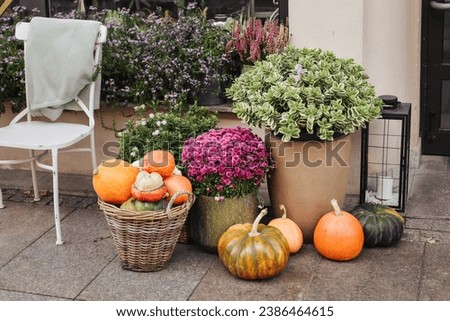 Outdoor restaurant decoration. Cafeteria among pavement. Flowers and plants in pot. Autumn pumpkins in front of the store. Cozy atmosphere coffeehouse porch.