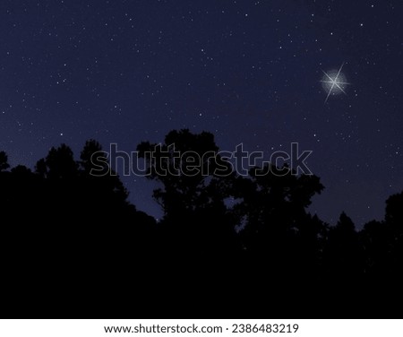 Stars above a silhouetted treeline with the Christmas Star shining brightly.