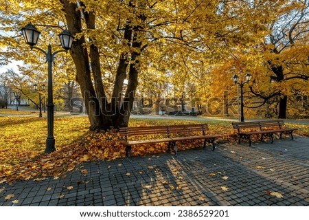 Golden autumn in central public park of Riga - the capital of Latvia, Baltic region, Eastern Europe Royalty-Free Stock Photo #2386529201