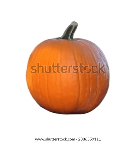 Very fresh little pumpkin, halloween pumpkin, pumpkin fruit