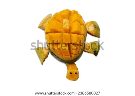 Turtle made of ripe mango and mango skin. Food art creative concepts. Funny dessert for children. Fruit cute animal made of fruit isolated on a white background.