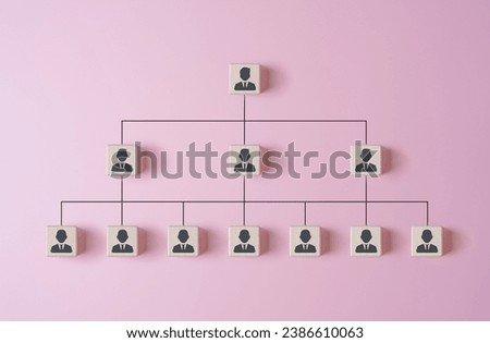 Organization chart, mind map, or organigram. Wooden blocks with people icons on pink background. Human resources career path, employees leveling hierarchy table. People team structure tree diagram. Royalty-Free Stock Photo #2386610063