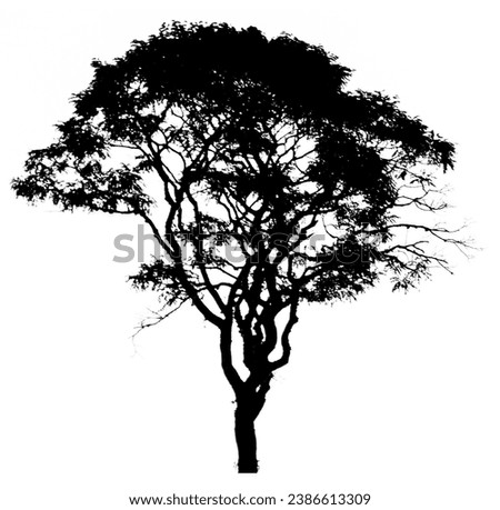 Black silhouette of a real tree on white background Royalty-Free Stock Photo #2386613309