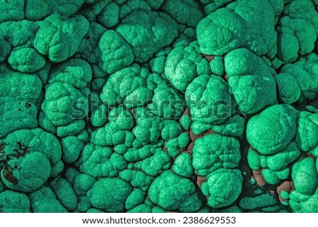 Detail of the raw green malachite mineral
