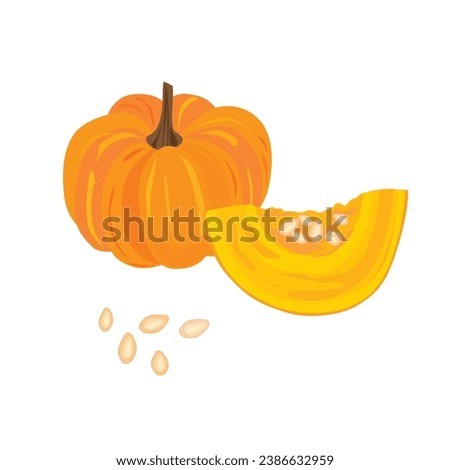 Pumpkin vector set. Cucurbita clip art. Whole and a slice of pumpkin. Pumpkin seeds. Fall harvest gourds. Thanksgiving concept. Healthy organic food.