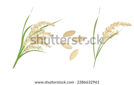 Rice vector. Cereal plant clip art. Grain. Asian food. Vietnamese traditional plant. Flat vector in cartoon style isolated on white background.