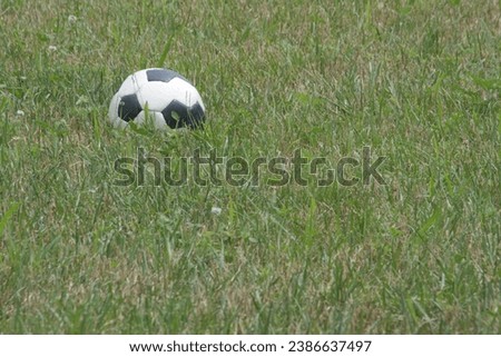 Soccer ball on the field in the grass sports fun futbol is life football   