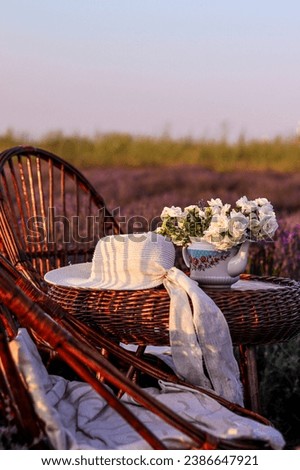 White flowers in teapot. Tea rose on table at sunset. Summer landscape, lavender field, straw garden furniture, white hat. Postcard, macro photo, wallpaper, flower shop advertisement, romantic Royalty-Free Stock Photo #2386647921