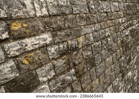 Photo of an old empty brick background for design. A red brick wall.