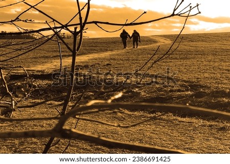 In love with a pair on a walk in nature, a young couple goes through a field, people in the landscape, a man and a woman holding hands, heaven and bare branches, winter time, orange photo