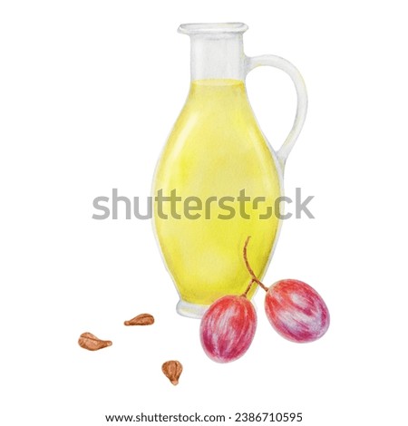Red grape berry, seeds, glass bottle with oil, vinegar. Watercolor hand drawn illustration. Ingredient in cooking, cosmetics. Clip art for menu of restaurants, packaging of farm goods, vegan products