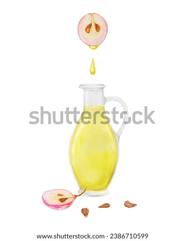 Red grape berry, seeds, glass bottle with oil, vinegar. Watercolor hand drawn illustration. Ingredient in cooking, cosmetics. Clip art for menu of restaurants, packaging of farm goods, vegan products