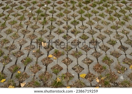 Autumn lawn in a concrete eco grid parking lot, green parking close-up, concrete pavement of eco-parking,Concept of sustainable development of the city