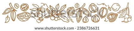 Big isolated vector set of nuts. Nuts and seeds collection. Vector hand drawn objects. Peanuts, cashews, walnuts, hazelnuts, cocoa, almonds, chestnut, pine nut, nutmeg, peanut, macadamia, coconut. Royalty-Free Stock Photo #2386726631