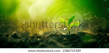 Young Sprout Agricultural Technologies, Scientific Research Banner, Organic Digital Background. Copy Space Royalty-Free Stock Photo #2386731589