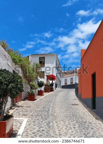 Pedestrian street with flower pots in rural town. Architecture and urban furniture. Urban Planning and Constructions. Royalty-Free Stock Photo #2386746671
