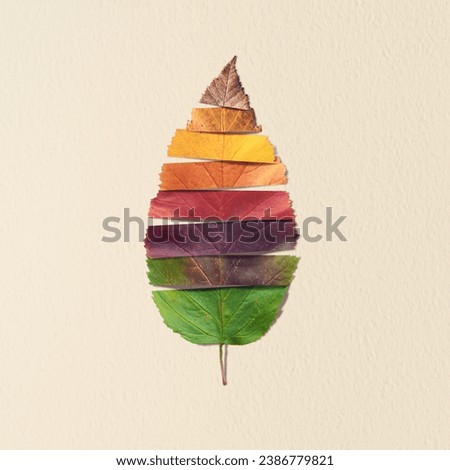 Creative layout of colorful autumn leaves. Flat lay. Season concept. Minimal concept of autumn background.Autumn banner