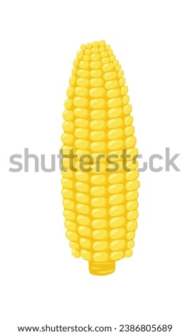 Corn vector set. Corn on the cob. Corn cob cartoon. Organic food, vegetables concept. Flat vector in cartoon style isolated on white background.