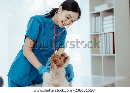 Beautiful Asian female veterinarian doing a health check on a dog, caring doctor at the veterinary clinic
​
