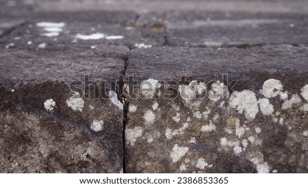 The steps of a temple made of black river stone, which is the main building material, appear to be moldy and worn away by age. Royalty-Free Stock Photo #2386853365