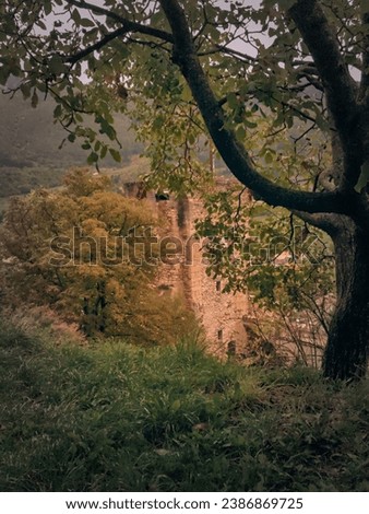 A picturesque view of Montbrun-les-Bains bell tower through the branches of a tree.