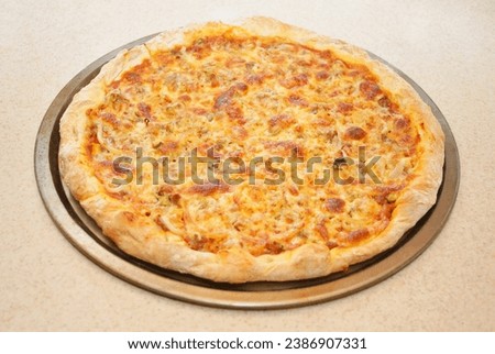 Whole Homemade Cheese Pizza on a Pizza Pan	 Royalty-Free Stock Photo #2386907331