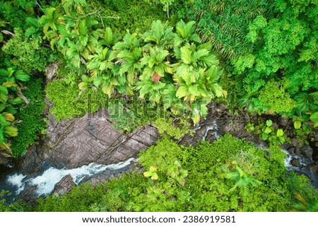 Bird eye drone photography of Sauzier waterfall on, surrounded by lush forest, Mahe Seychelles 2 Royalty-Free Stock Photo #2386919581
