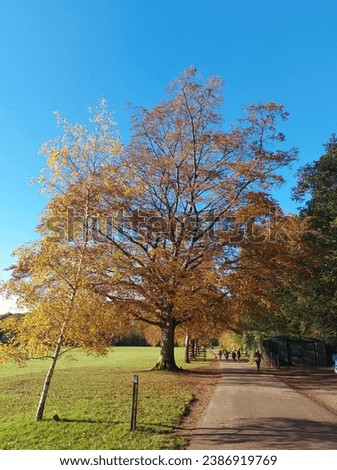 Autumn view in War Memorial Park, Coventry, UK