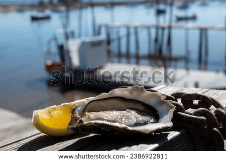 Eating of fresh live oysters with citron at farm cafe in oyster-farming village, with view on boats and water of Arcachon bay, Cap Ferret peninsula, Bordeaux, France in sunny day Royalty-Free Stock Photo #2386922811