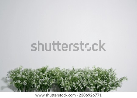 Flowers in glass bottles on isolated background