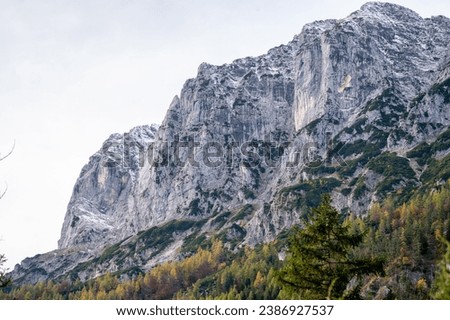 High rocky snowy mountain peaks in Alps with autumn forest
