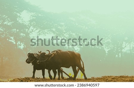 A village agriculture cultivate tradition Royalty-Free Stock Photo #2386940597