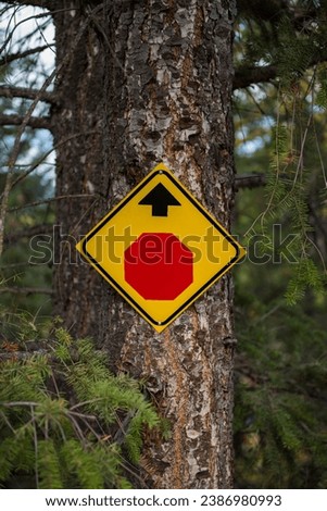 Stop sign in woods on a tree. Stop ahead yellow sign in a forest of British Columbia, Canada