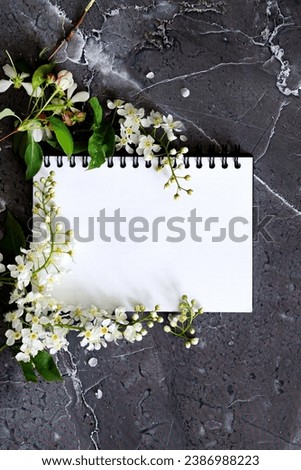 Flowers composition. Frame made of dried rose flowers on white background. Flat lay, top view, copy space Flowers composition. Frame made of dried rose flowers on white background. Flat lay, top view,
