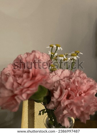 art photograph of flowers carnations and daisies in a vase against a background of a gray wall. High quality photo