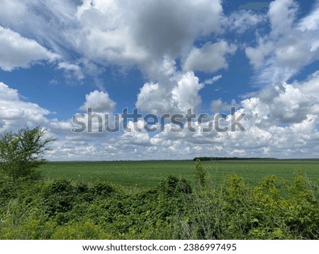 photograph of a green field with vegetation against a blue sky with cloud High quality photo