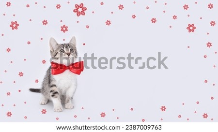Cute Kitten with red ribbon looks up. Kitten with red bow tie on white background. Greeting card congratulations on a new born girl. Valentine's Day Happy birthday. Love concept. Frame of red flowers