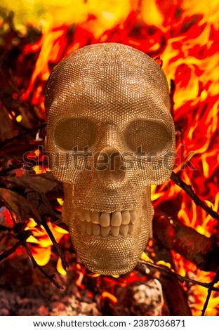 human skeleton on a colored background collage