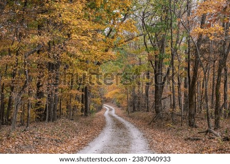 Old Trace section of the Natchez Trace Parkway road in Tennessee, USA during the fall season. This is one of two locations along the Parkway where travelers can drive on the Old Natchez Trace.  Royalty-Free Stock Photo #2387040933