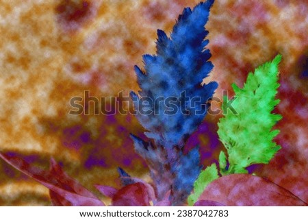 abstract flower design with color