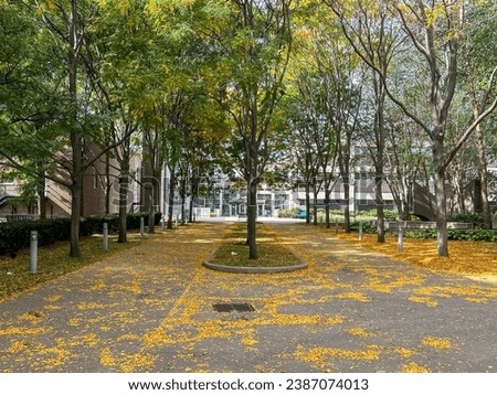Toronto, Ontario - October 7, 2023: Gardens and trees on the campus of University of Toronto in downtown Toronto

