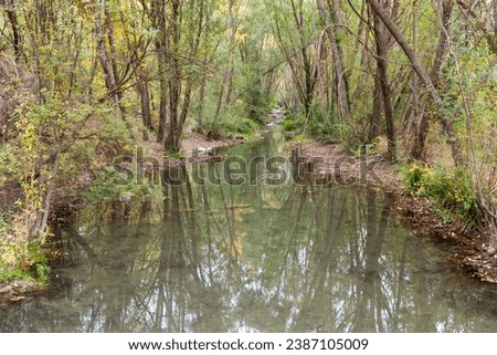Natural landscape of the Genil river with vegetation and trees in early autumn