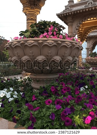 Flowers in garden full blooming colorful red yellow pink orange make nature fresh and more beautiful