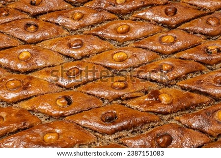 Hazelnut baklava. Close-up. Traditional Middle Eastern sweets. Traditional Azerbaijani baklava. local name fyndyk paxlava