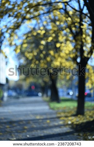 autumn in the city defocused background