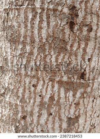 Wood Texture Background High Resolution
