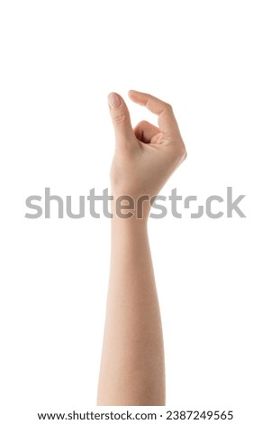 Young female right hand hold something medium sized isolated on white Royalty-Free Stock Photo #2387249565