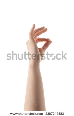 Young female right hand hold something medium sized isolated on white Royalty-Free Stock Photo #2387249583