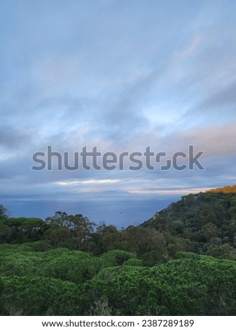 What a nature landscape bringing together the ocean, sky, clouds, and the forest