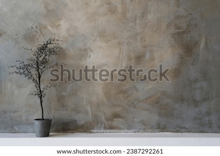 Plant and stucco wall background for zoom calls Royalty-Free Stock Photo #2387292261